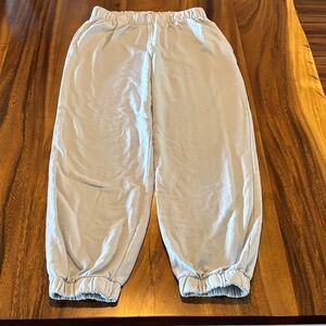 Brandy Melville Light periwinkle blue Sweatpants